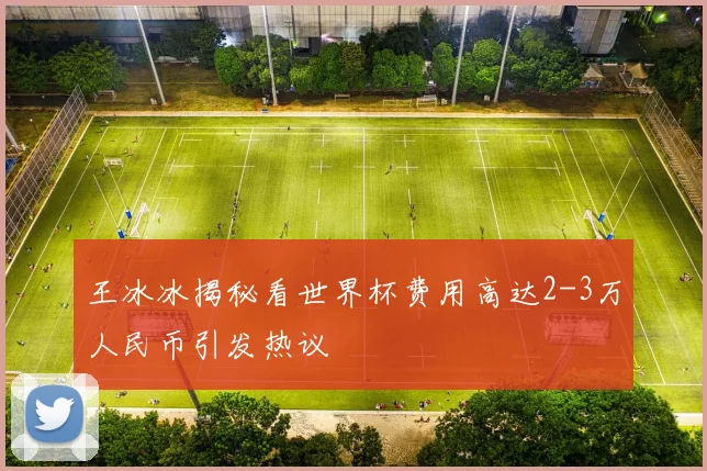王冰冰揭秘看世界杯费用高达2-3万人民币引发热议